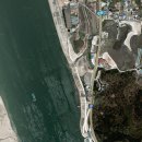 위드벳(주) 이미지