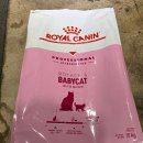 소화성 가정 | 로얄캐닌 마더 앤 베이비캣 10kg 리뷰 – 아기 고양이와 엄마를 위한 첫 사료 이야기 최저가 구매법