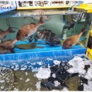 수산역사공원 이미지