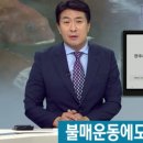 방역 검사 간소화로 일본산 활어 수입 급증 이미지