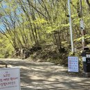 지리산 노고단 털진달래 만개 시기, 봄 산행 솔직 후기