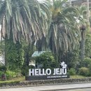 제주도게스트하우스파티달이머물 이미지