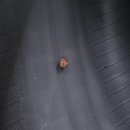 엠 게러지 일산점 이미지