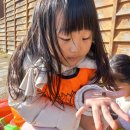 천사어린이공원 | [아이고고]시흥갯골생태공원 유아 숲체험 후기｜21년생 아이 첫 겨울 숲놀이!내돈내산