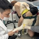 범어동물병원 이미지