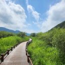 원동1공원 이미지