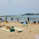 송지호 해수욕장 이미지