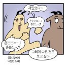 종로-신교-종로-신-294 | 킹키부츠 후기(김성규 최재림 김환희 페어/ 중블 OP석 2열)