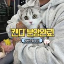 야옹아 멍멍해봐 계림점 이미지