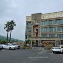 힐링다도 | 제주 취다선리조트 이코노미 더블룸 내돈내산 1박 후기:: 요가, 명상, 다도가 있는 힐링 숙소