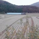 고랑정미소 이미지