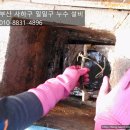 신평2동-3 이미지