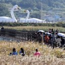 (주)바다출동 이미지