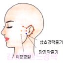 핸드경락 마사지 이미지
