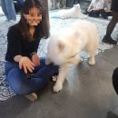 겨울이 머무는 집 이미지