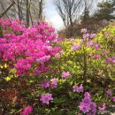 행정사 봉공 | 행정의 ‘유쾌한 반란’으로 캐릭터 ‘봉공이’ 등 탄생 도, ‘변화와 기회’ 가치 담은 민선 8기 도정...