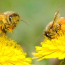 설담한의원 이미지