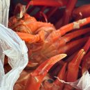 강릉 홍게 맛집 주문진 어민 수산시장 동해호 포장해서 먹은 후기와 맛있는 홍게 고르는 꿀팁 방법