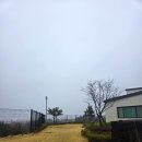 성산읍 창명빌라 앞 | 제주 키즈 풀빌라 찐 만족 숙소! 아이올레키즈풀빌라 올레동 후기