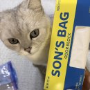 강아지똥 | 냄새걱정? 노노 쏜쓰백 강추해. /고양이 강아지 똥봉투 추천템 [제품제공/체험단 후기]