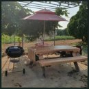 캐러가까 이미지