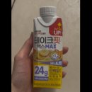 코디죤 이미지