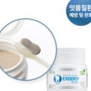 한국SHIDENTA 이미지