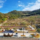 교동면-6 이미지