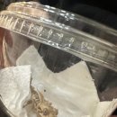 태산환경 | 순천 태산렙타일 방문 후기