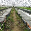 황토 농장 이미지