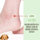 닥터 존(닥터88) 네이버블로그