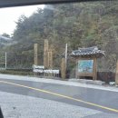 치유의 숲 | 삼척 치유의 숲 족욕 후기(아기랑👼🏻🤍)