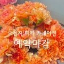 살롱드꽃플라워스튜디오