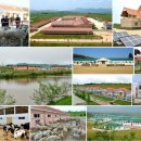 지구목장 이미지