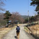 당지농장 Daum카페
