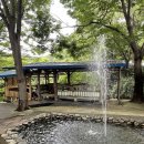 계곡가든산장 이미지