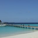 푸른바다 이미지