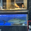 김밥칭구 | 한남동 대물섬 평일 웨이팅(캐치테이블), 강민경 광어 소금 김밥 후기