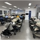 프로베이비
