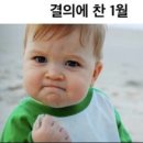 호호무역 이미지