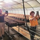 억만농장 이미지