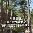 [캠핑장리뷰,캠핑장추천] 나만 알고 싶은 숲속 아지트:리틀포레스트가평 솔직후기