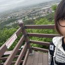 배산 | 익산 배산 등산 후기 ⛰️ (8/20)