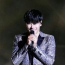 대장나무