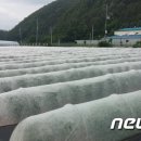 경북농업기술원 영양고추시험장 이미지