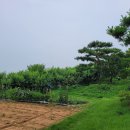 억만농장 네이버블로그