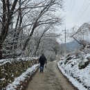 원주굽이길 원11코스 다둔인벌길 이미지