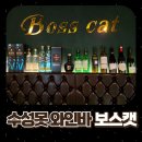 수성못 보스캣 (Boos Cat) 와인바 솔직후기 ▶분위기 멋집, 음식 맛집◀