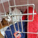 남창원동물병원 이미지