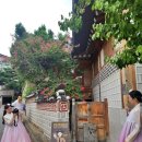 (주)한국관광여행사 이미지